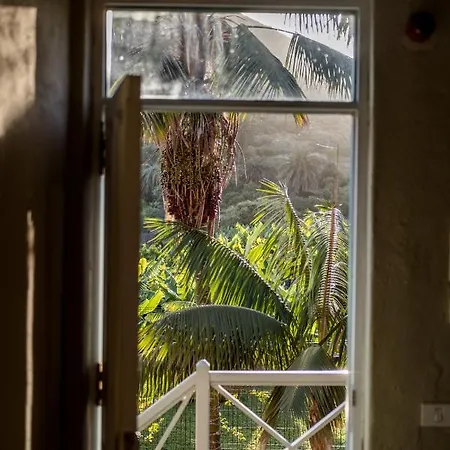 Apartment El Patio