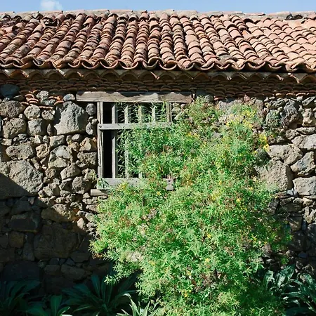 El Patio * Los Realejos