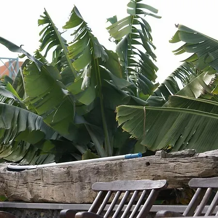 El Patio Los Realejos