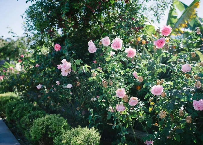 Летний дом El Patio Лос-Реалехос