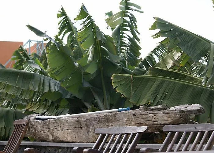 El Patio Лос-Реалехос