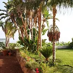 منزل ريفي El Patio