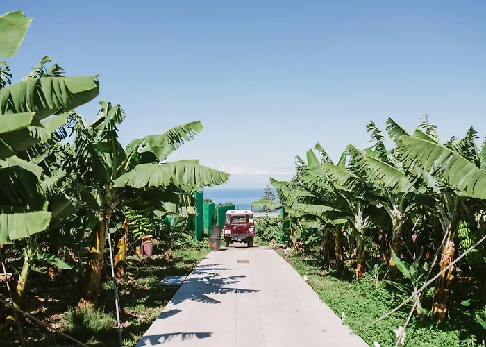 בית כפרי El Patio