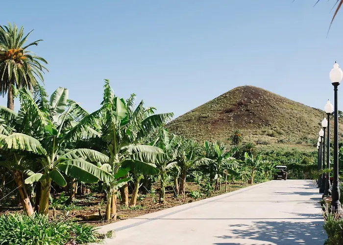 El Patio בית כפרי לוס ריאלחוס