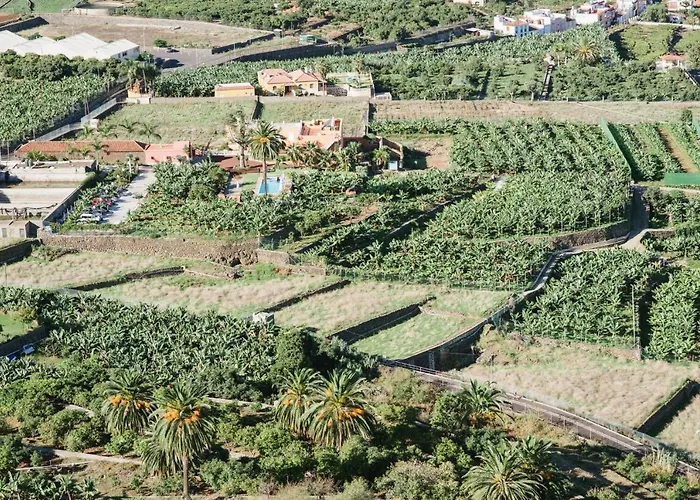 El Patio לוס ריאלחוס